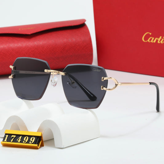 Cartier 17499 Black Tint Style glasses